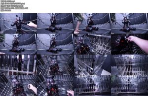 [D-Lemon] Lemon Durianラバーヒトイヌ鎖拘束バルーン調教Radical Plan-丝依依