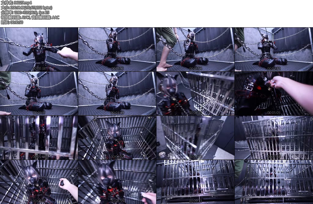 [D-Lemon] Lemon Durianラバーヒトイヌ鎖拘束バルーン調教Radical Plan-丝依依