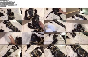 [窒物者] 非常顶的一段X_X之前一直没机会放出-丝依依