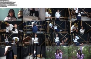 [一绳有你] 心灵的抗战被捕戴上手铐脚镣刑房跪绑压杠子老虎凳打挠脚心鹦鹉吊晕死也不屈服刑场就义-丝依依