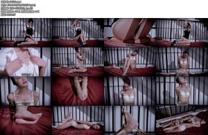 [丽柜美束] 颜丝紧缚（上下完整版 ）~心心公主-丝依依