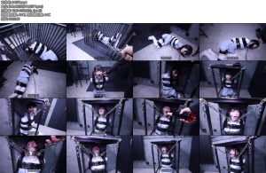 [D-Lemon] 私服テープ拘束イラマ-丝依依