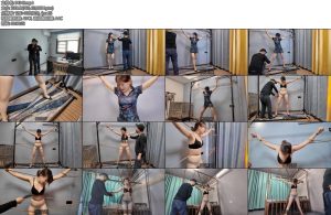 [李大侠] 女间谍晓琴-丝依依