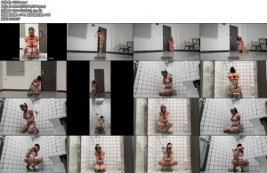 [CD伪娘] 小诡的自缚120剧情向双语字幕风骚伪娘打工记-丝依依