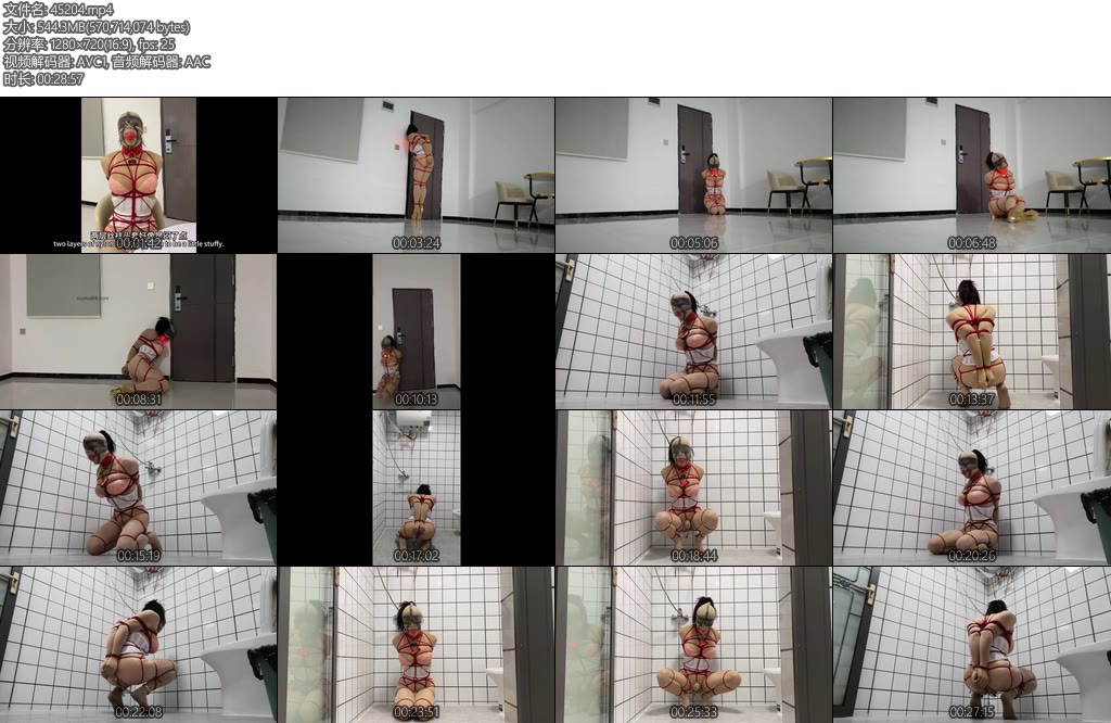 [CD伪娘] 小诡的自缚120剧情向双语字幕风骚伪娘打工记-丝依依