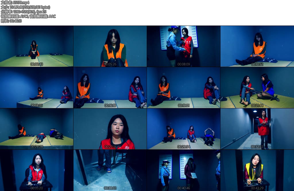 [胜景影视] 毒网挽歌之毒枭末路上集女毒枭苏琴拒不交代卖淫女做卧底套口供将毒枭女老大抓获-丝依依