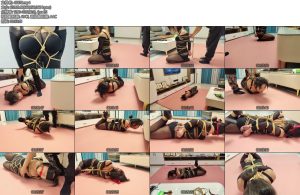 [李大侠] 我的秘书我的奴系列之一-丝依依