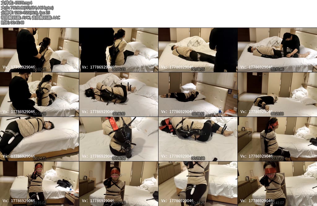 [亚洲绳艺] 忧郁的笨鸟 绝望的挣扎第二章-丝依依