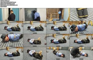 [李大侠] j花磨难记上-丝依依