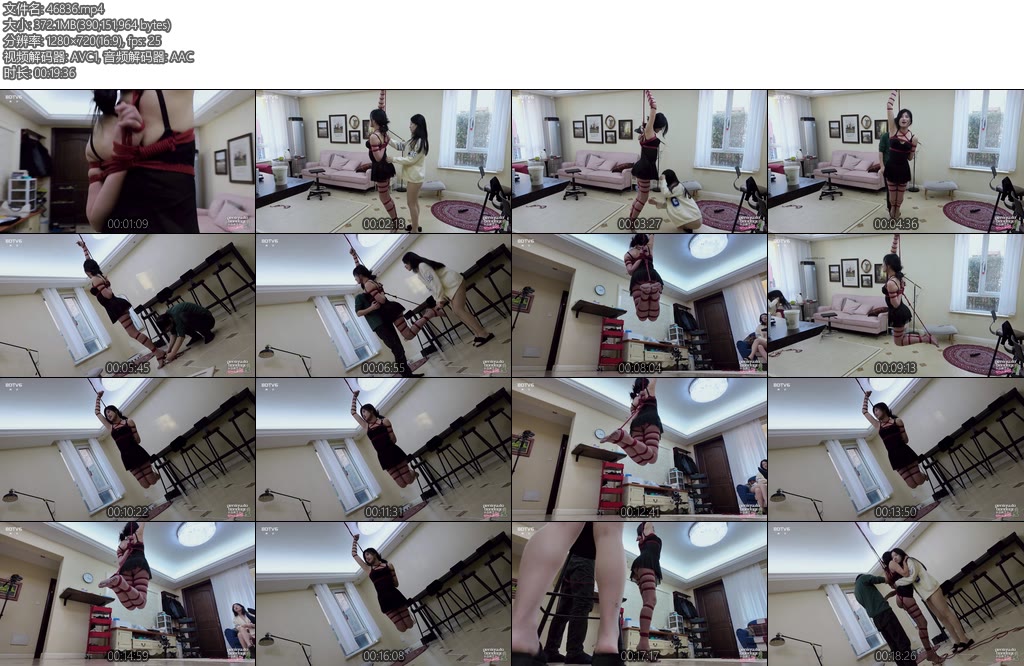 [半岛束艺] 苏子强制敬礼-丝依依