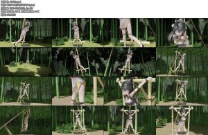 [动画片] MMD动画白丝旗袍中华娘竹林晾晒拘束架吊缚反绑大字口枷放置TD-丝依依