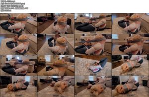 [欧美绳艺] Spider Gwen Arched Hogtie-丝依依