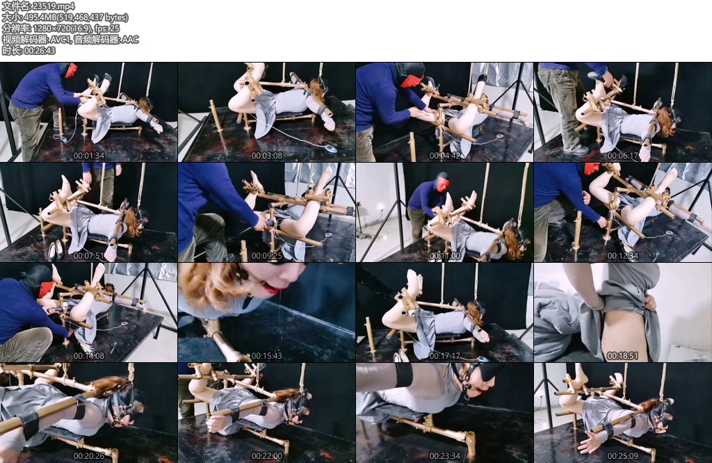 [飞天原创] 为梦涵精心设计一款多功能K9架-丝依依