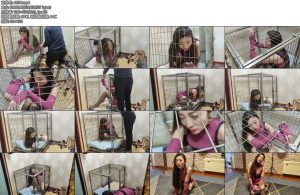 [李大侠] 佳佳关笼子-丝依依