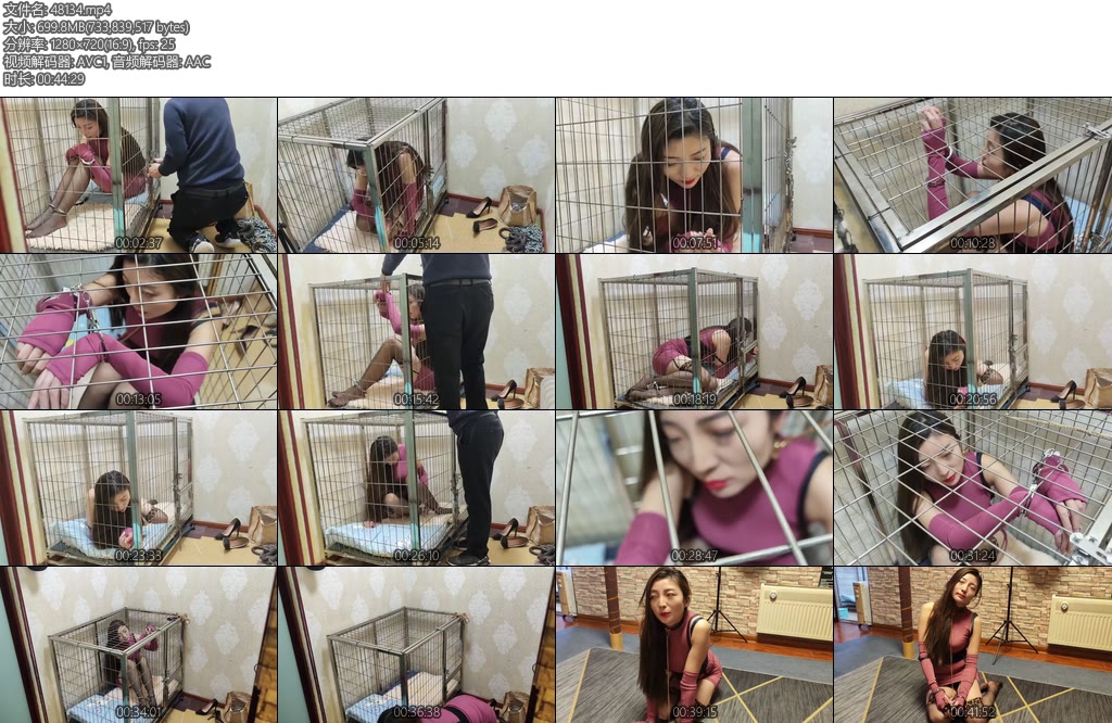 [李大侠] 佳佳关笼子-丝依依