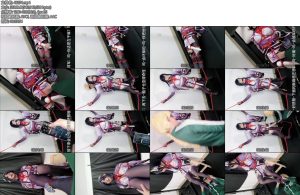 [亚洲绳艺] 职业胸手骇入雷电将军人偶伪娘-丝依依
