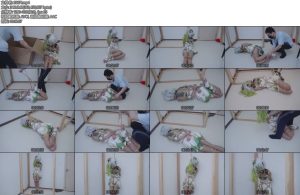 [亚洲绳艺] 草神COS捆绑口球眼罩全身紧缚多姿势-丝依依