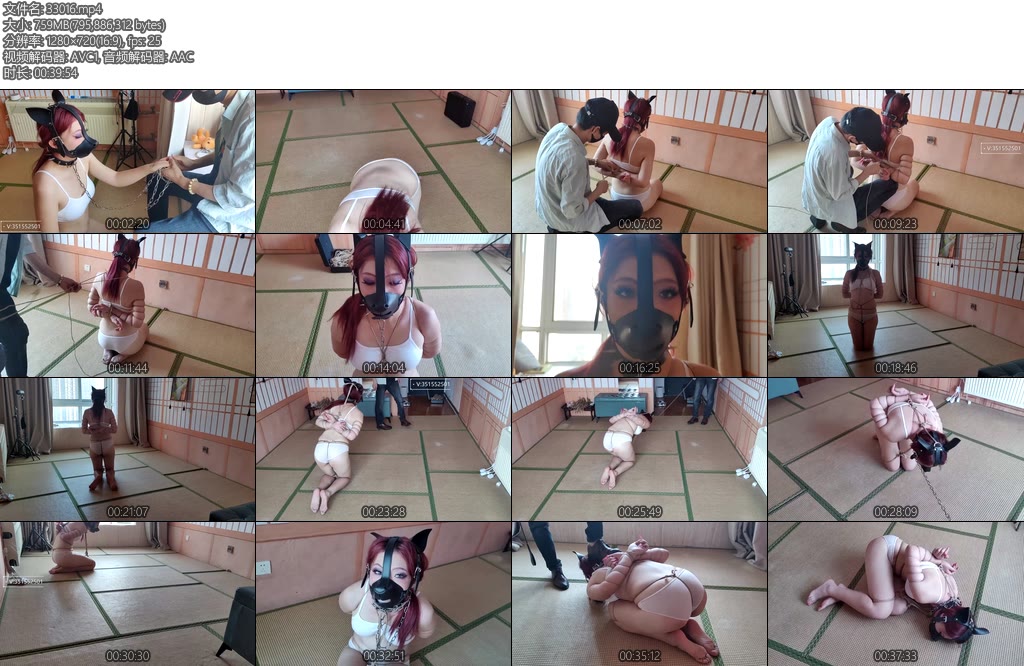 [一绳所爱] 陈依依戴着狗头玩K9-丝依依