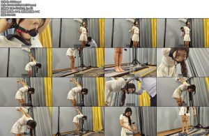 [李大侠] 小夏双口环放置-丝依依