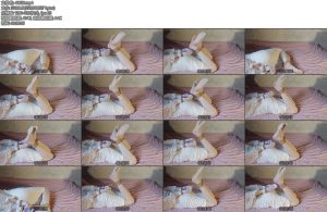 [亚洲绳艺] 透肉白丝驷马紧缚-丝依依