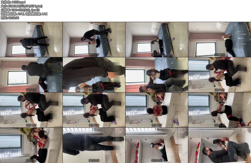 [束龙缚凤] 黑客入侵绑架女白领第二部终结篇-丝依依