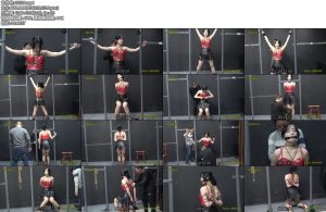 [一绳有你] 被金属拘禁的君君日式、传统五花紧缚、跪绑、勒嘴-丝依依