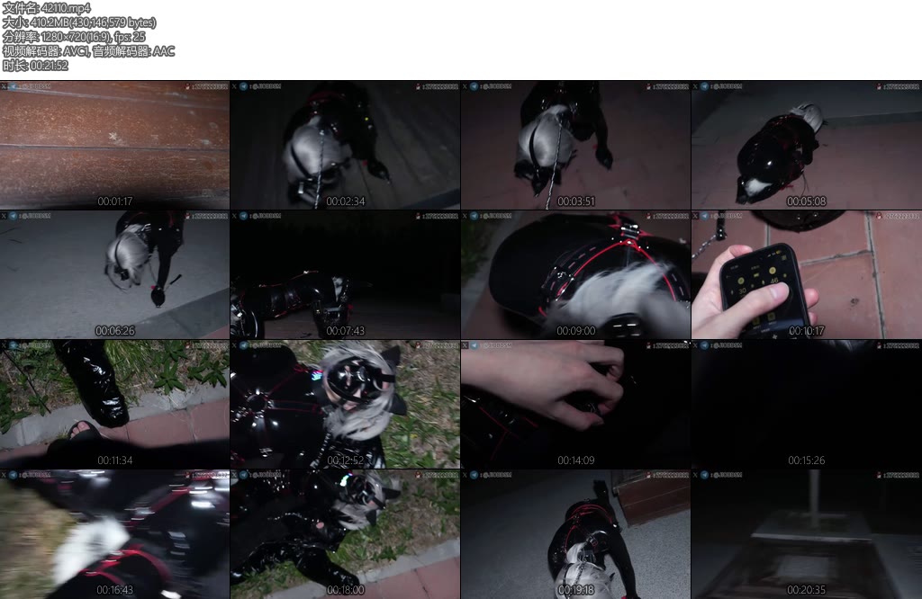 [JIOJIO原创] JIO缚馆 14乳胶K9套装公园户外遛狗郊狼电击内置TD震动钢S调教-丝依依