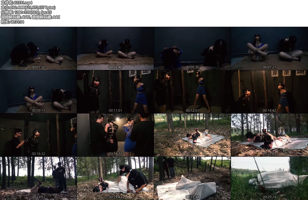 [胜景影视] 连续剧落难姐妹（第十二集）-丝依依