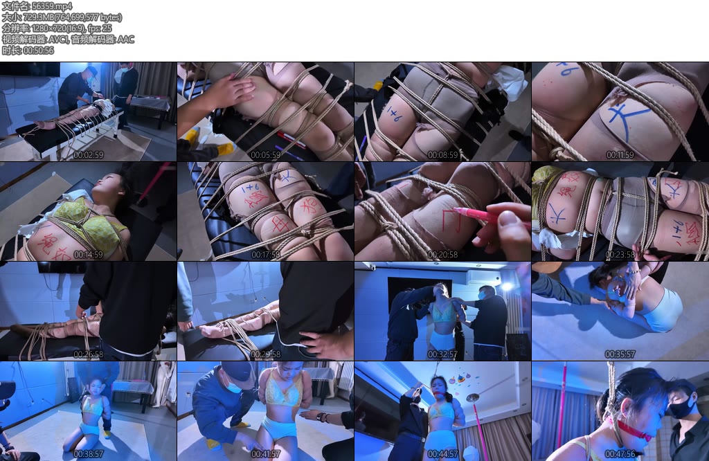 [一绳所爱] 职业白领星雨的劫难2-丝依依