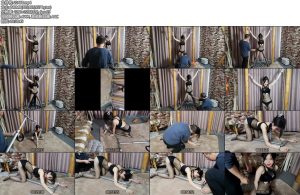 [随心原创] 江奈 全金属固定 大字形和跪趴器-丝依依