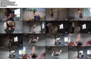 [半岛束艺] 乡村振兴计划海语主演-丝依依