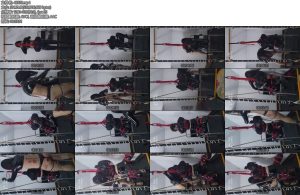 [亚洲绳艺] 被污秽男娘玩弄这辈子就有了叭欢乐向-丝依依