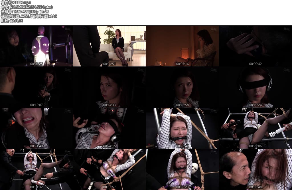 [亚洲绳艺] 拷问研究所加藤山茶-丝依依