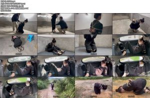 [ZhangYang] 洋洋执行记-丝依依