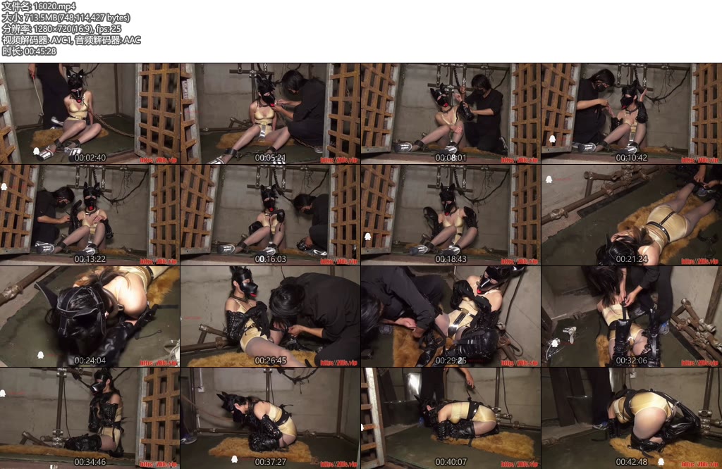 [禅狱原创] BL20天系列之犬服-丝依依