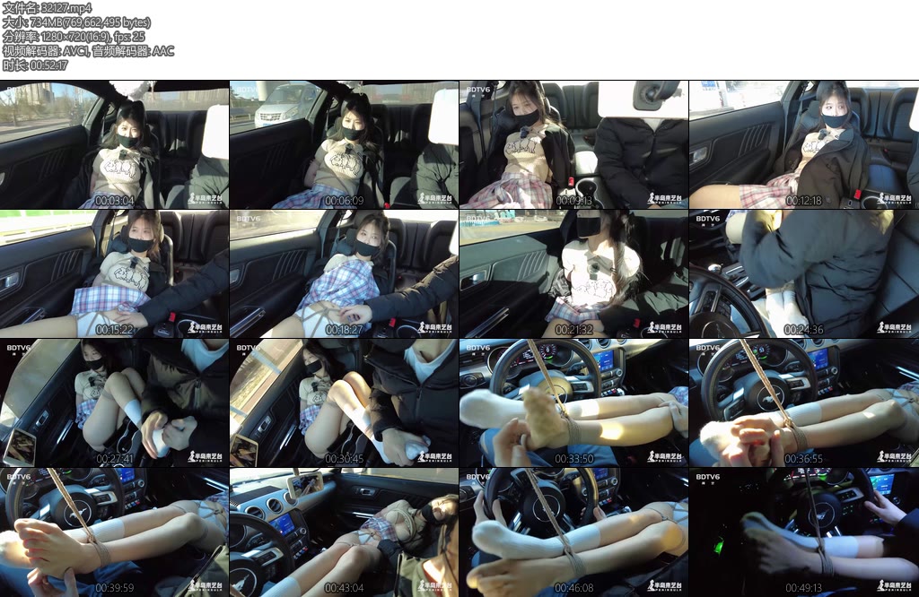 [半岛束艺] 佐伊2023春夏户外防疲劳驾驶神器-丝依依