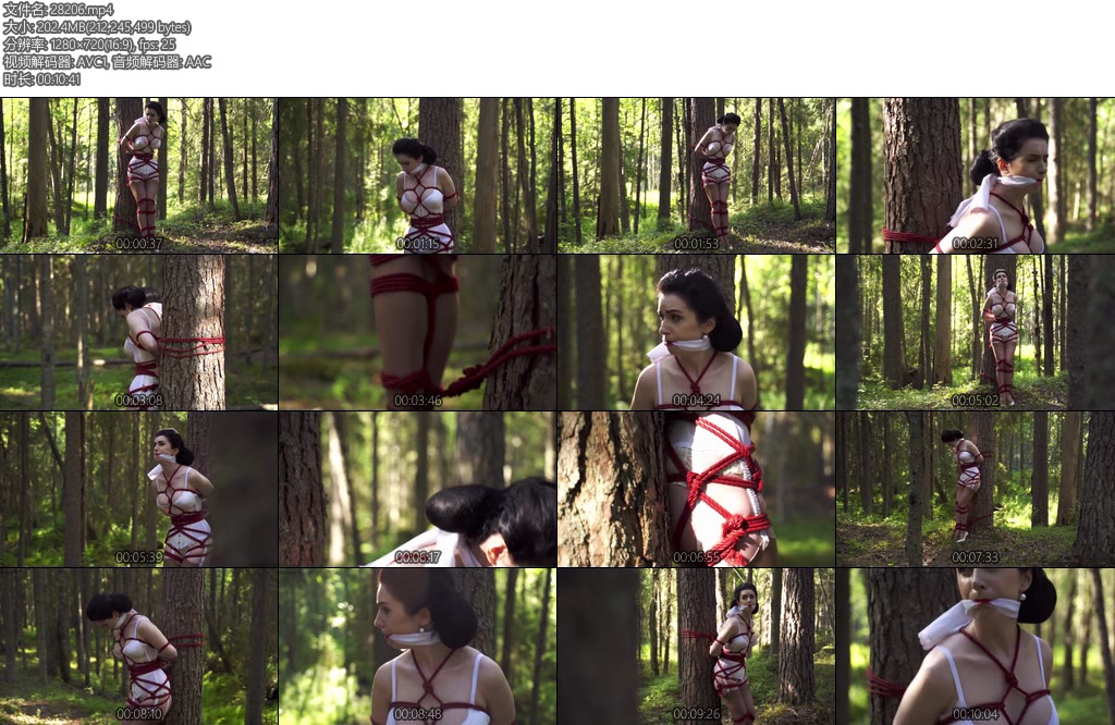 [欧美绳艺] The girl is tied to a tree in the forest-丝依依