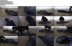 [真核生物] 致敬道具箱-丝依依