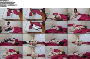 [半岛束艺] 泠鸢新人不配有衣服-丝依依