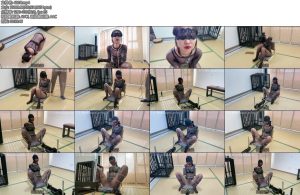 [涵涵原创] K9训练计划-丝依依