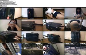 [亚洲绳艺] 胶带旅行箱-丝依依