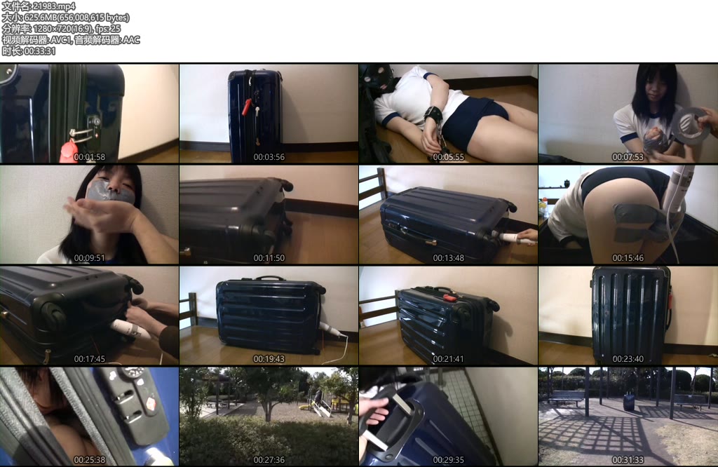 [亚洲绳艺] 胶带旅行箱-丝依依