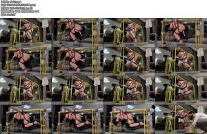 [半岛束艺] 落叶天赐良桌-丝依依