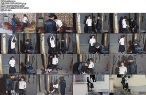 [MJ影视] 女烈杨慧-丝依依