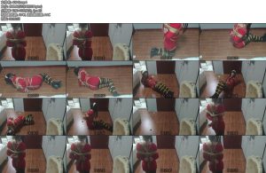 [亚洲绳艺] 鸽cos约尔的自缚郊狼-丝依依