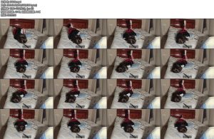 [里希ericy] 五感封闭包手极限驷马震动棒开最大密室放置挣扎逃脱-丝依依