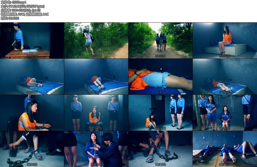 [胜景影视] 新片红颜殇中集几名女毒枭全部落网宣判死刑-丝依依