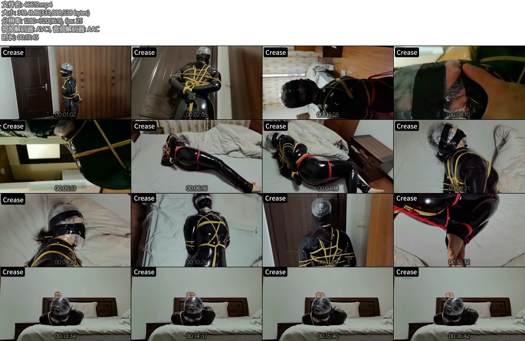 [Crease] 搜查官的劫难-丝依依