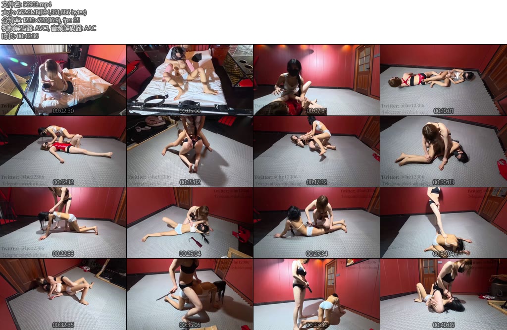 [意之窗] 汤圆小羊女斗剧情向回合制互殴凌辱打屁股假阳扇脸踩踏虐xiong鞭打骑行折腿骑脸揉胸-丝依依