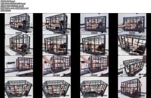 [缚心室] 80多斤女学生的兔笼体验超长时长三种不同姿势玩法自动挡自己动全程高强度撕心裂肺的求饶一次次求饶无果一次次虚脱-丝依依